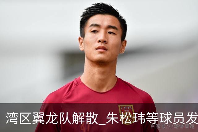 湾区翼龙队解散 朱松玮等球员发布声明维权